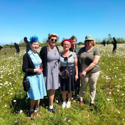 Coquelicots